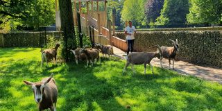Stadsboerderij de Hout in Alkmaar